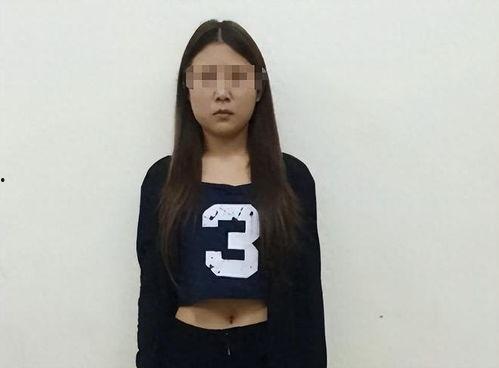 失踪女网红,揭开网络迷雾背后的真相